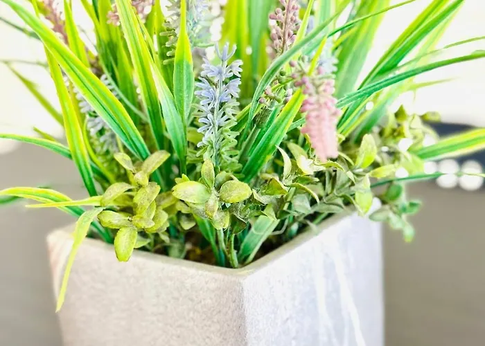 Gourmet Com Quintal Lägenhet Albufeira