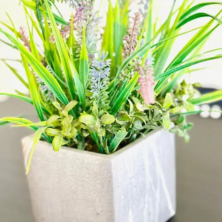 Gourmet Com Quintal Appartamento Albufeira